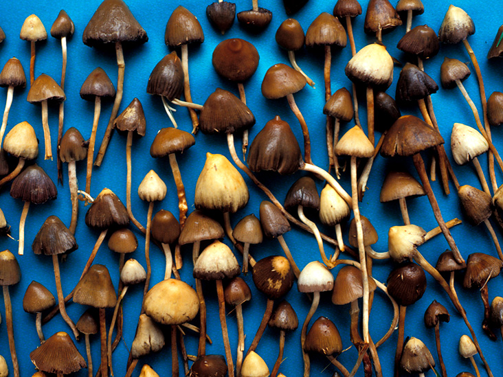 Benefits Of Buying Magic Mushroom Online