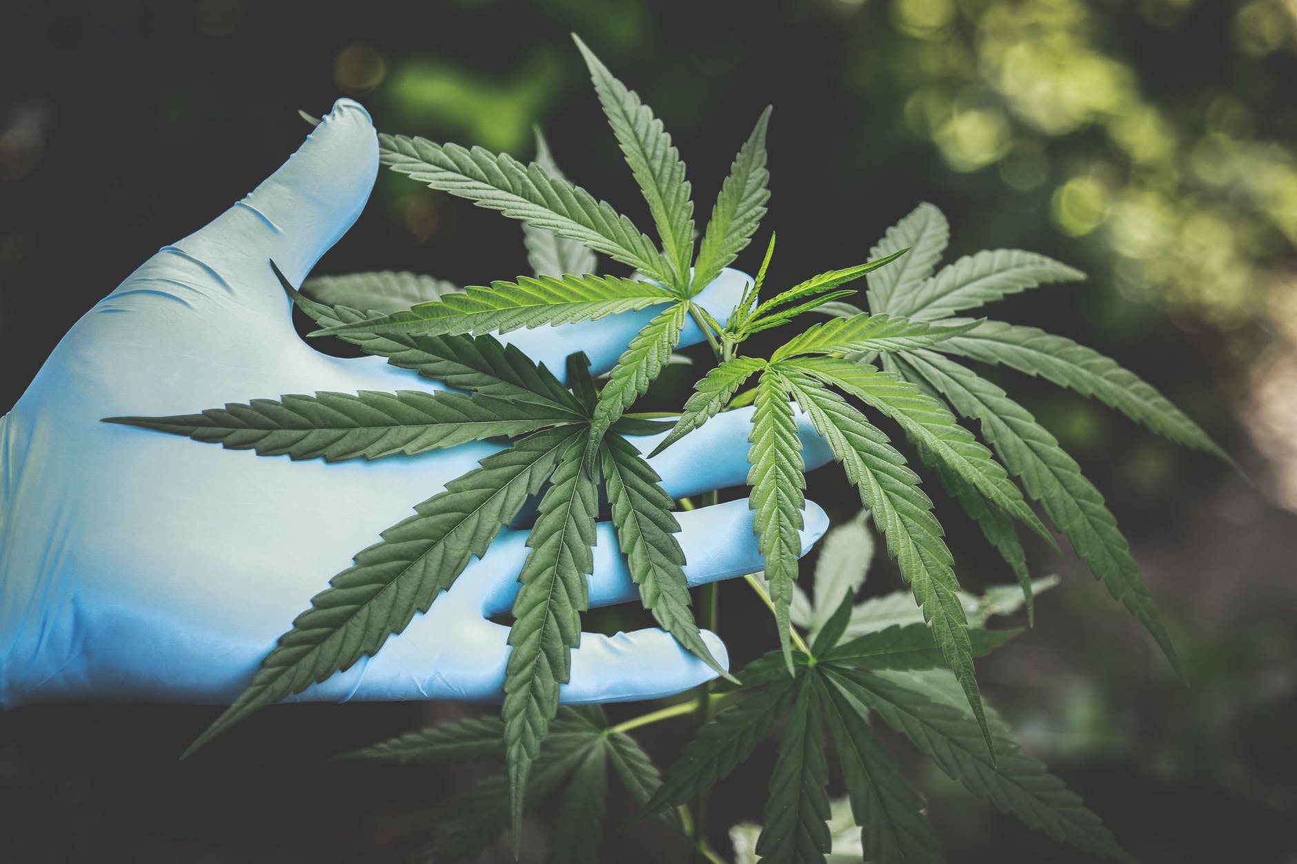 7 Tips To Responsibly Consume Marijuana