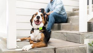 A dog sits on steps with a man. Man is holding a cup of coffee
