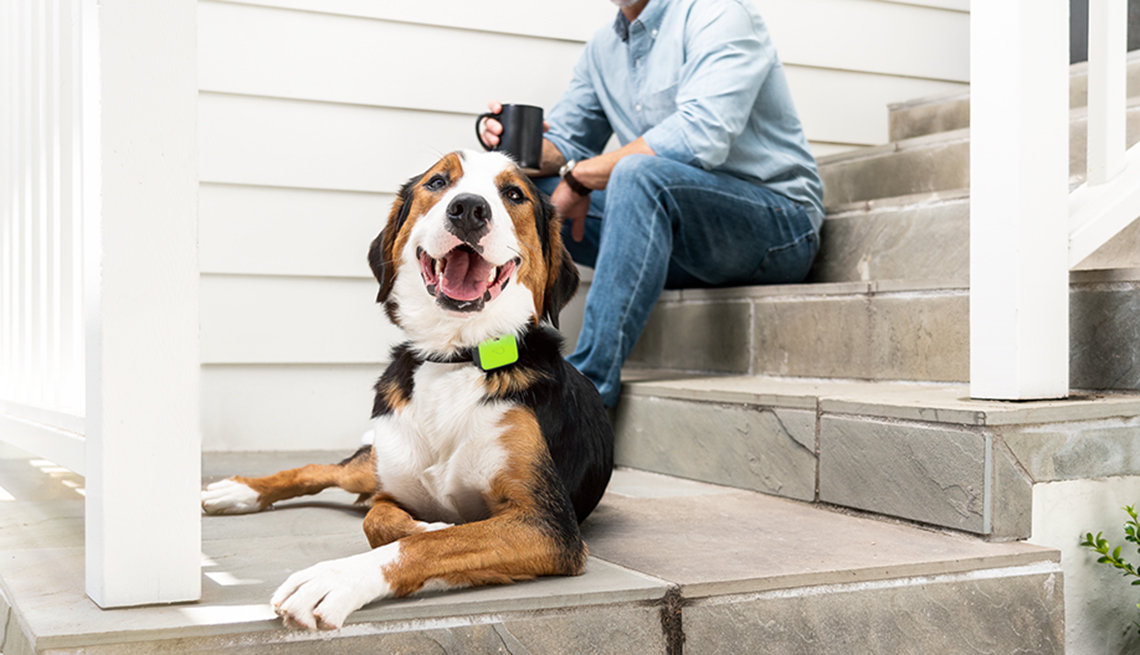 A dog sits on steps with a man. Man is holding a cup of coffee