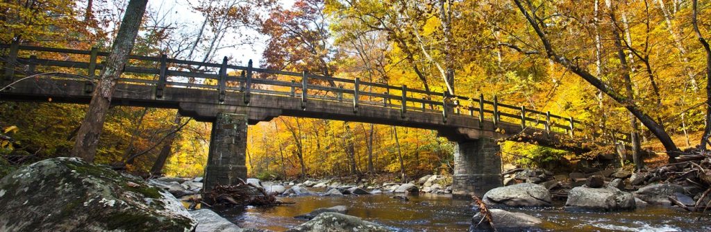 A serene view of a wooden bridge crossing a tranquil stream, surrounded by autumn foliage.