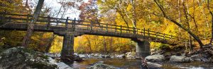 A serene view of a wooden bridge crossing a tranquil stream, surrounded by autumn foliage.